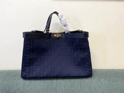 Fendi Handbags 496